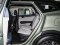 狮铂拓界 2.0L HEV两驱旗舰版2023款