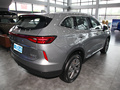 哈弗H6新能源 DHT-PHEV 110KM畅行版2023款