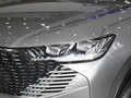 哈弗H6新能源 DHT-PHEV 110KM畅行版2023款