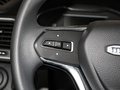 上汽大通MAXUS G10 2.0L 手動(dòng)多功能版 汽油7座2023款