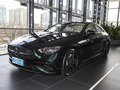 奔馳CLS CLS 300豪華型2023款