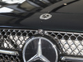 奔馳CLS CLS 300豪華型2023款
