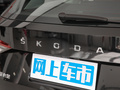 柯迪亚克 图片