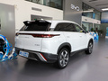 护卫舰07 DM-i 100KM旗舰型2023款