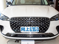 冒险家 2.0T两驱尊雅版2023款