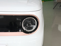 吉利熊猫 熊猫mini新春版宝藏熊2023款