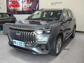 豪越L 2.0TDCT尊貴型2023款