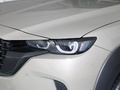 馬自達(dá)CX-50行也 2.5L尊行版2023款