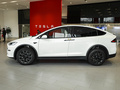 MODEL X 图片