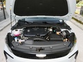 帝豪L HiP 冠军版 1.5TD-DHT Pro 100KM超越型2024款