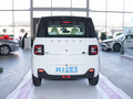 吉利熊猫 熊猫mini 200km 耐力熊2023款