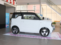 吉利熊猫 熊猫mini 200km 耐力熊2023款