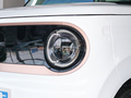 吉利熊猫 熊猫mini 200km 耐力熊2023款