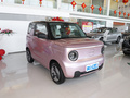 吉利熊猫 熊猫mini 200km灵动熊2023款