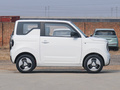 吉利熊猫 熊猫mini 200km灵动熊2023款