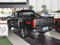 將軍F9 2.0T柴油手動(dòng)四驅(qū)青春精英型長(zhǎng)廂4F20TC2023款