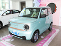吉利熊猫 熊猫mini 120km萌萌熊2023款