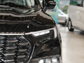 領裕 EcoBoost 225 精領型6座2023款