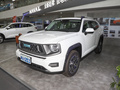 哈弗二代大狗新能源 DHT-PHEV 105km潮电版Plus2023款