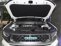 哈弗二代大狗新能源 DHT-PHEV 105km潮电版Plus2023款