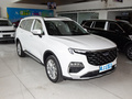 領(lǐng)裕 EcoBoost 225 鉑領(lǐng)型7座（2/3/2）2023款