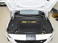 Polestar 2 BST edition 2702022款