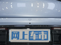 海豹 图片