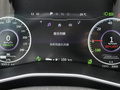 远志M1 图片