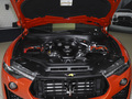 Levante 3.0T F Tributo2023款