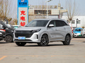 藍電E5 1.5L DE-i 110KM旗艦型5座2023款
