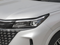 藍電E5 1.5L DE-i 110KM旗艦型5座2023款