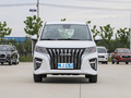 王牌M7 2.0L CNG長軸豪華營運版9座2023款