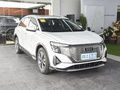奥迪Q5 e-tron 40 e-tron 闪耀型锦衣套装2023款