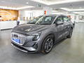 奥迪Q5 e-tron 图片