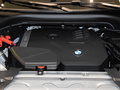 寶馬X3 xDrive30i 尊享型M曜夜套裝2023款
