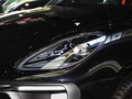 Macan Macan S2.9T2024款