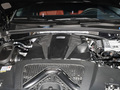 Macan Macan S2.9T2024款