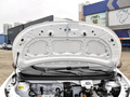 花仙子 200km 薰衣草30kW2023款
