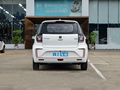花仙子 251km 四葉草36kW2023款