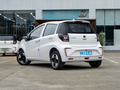 花仙子 251km 四葉草36kW2023款