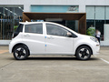 花仙子 251km 四葉草36kW2023款