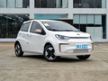 花仙子 251km 四葉草36kW2023款