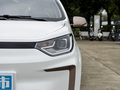 花仙子 251km 四葉草36kW2023款