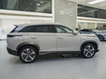 护卫舰07 DM-p 175KM四驱领航型2023款