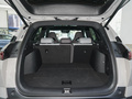 护卫舰07 DM-p 175KM四驱领航型2023款