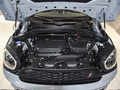 MINI COUNTRYMAN 改款 2.0T COOPER S ALL4不羁特别版2023款