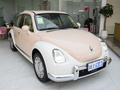 歐拉芭蕾貓 500km尊貴型2023款