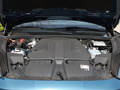 Cayenne新能源 Cayenne E-Hybrid2.0T2024款
