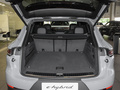 Cayenne新能源 Cayenne E-Hybrid2.0T2024款