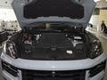 Cayenne新能源 Cayenne E-Hybrid2.0T2024款